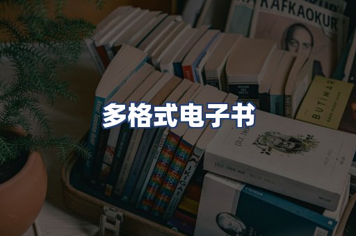 多格式电子书